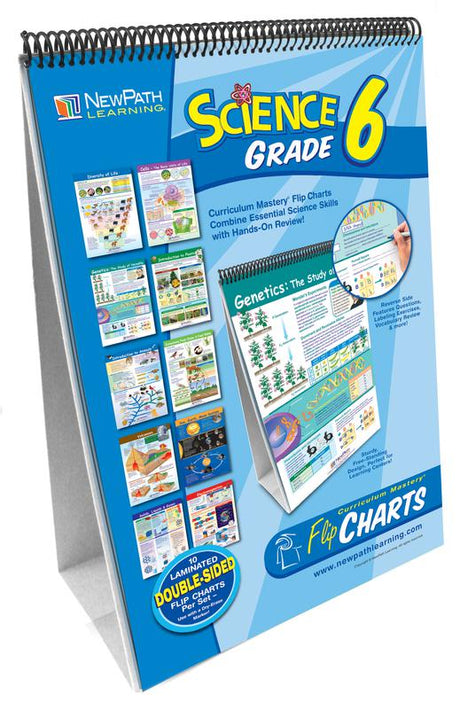 Science Flip Chart Set Gr 6