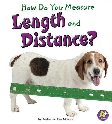 Measure It Book Set Set Of 4 