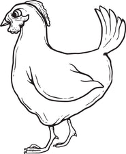 Simple Chicken Coloring Page