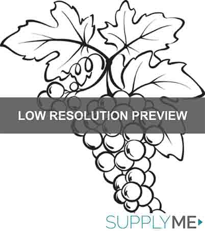 A Bunch of Grapes Coloring Page