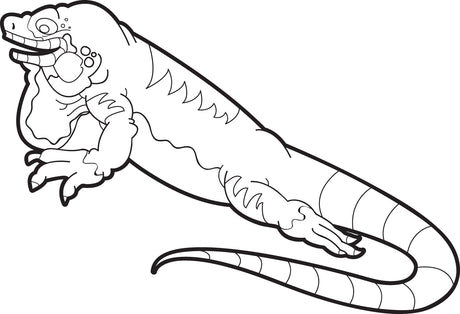 Lizard Coloring Page #3