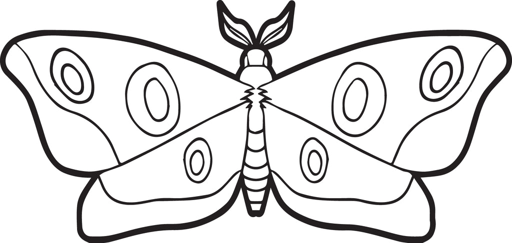 Moth Coloring Page