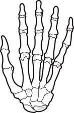 X-Ray Coloring Page