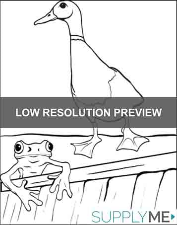 Duck and Frog Coloring Page
