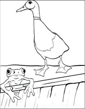 Duck and Frog Coloring Page