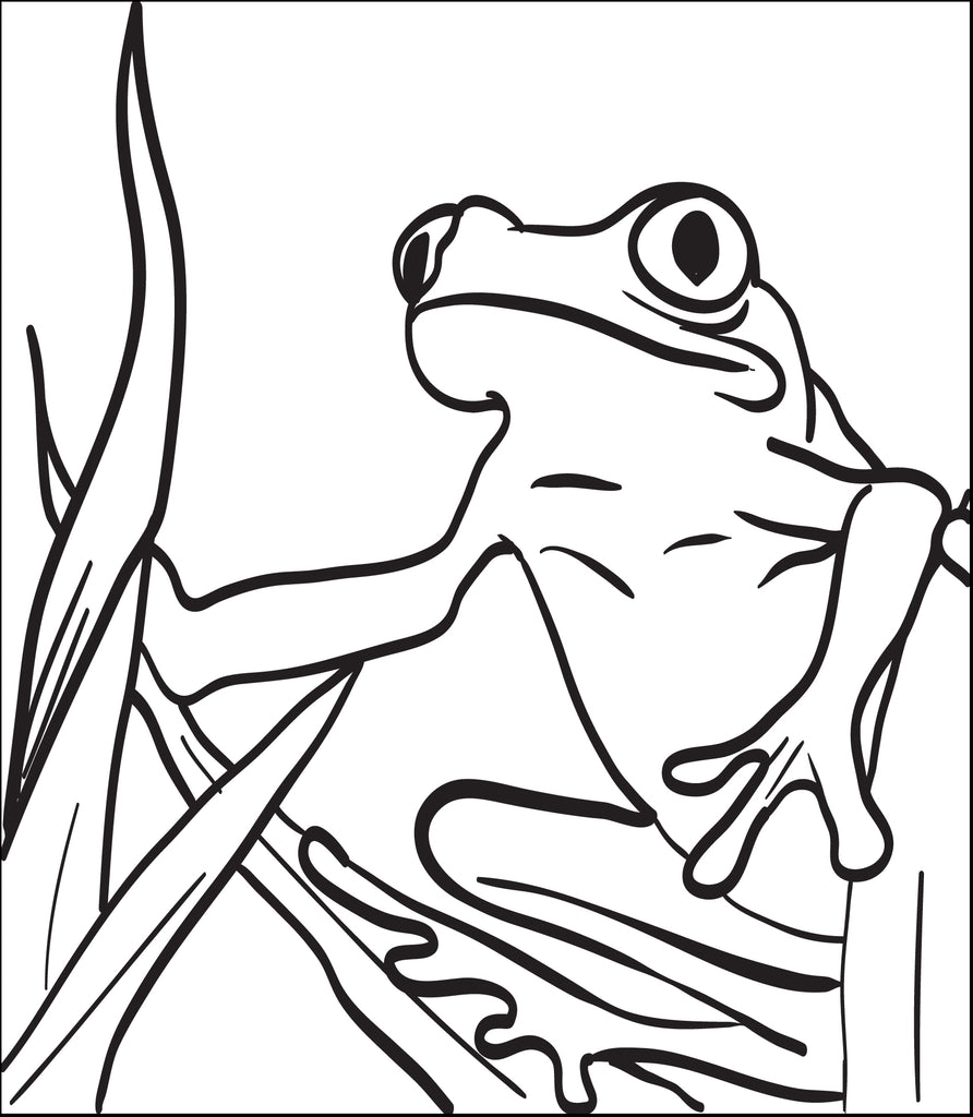 FREE* Frog Coloring Page and Word Tracing