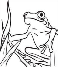 Frog Coloring Page #3