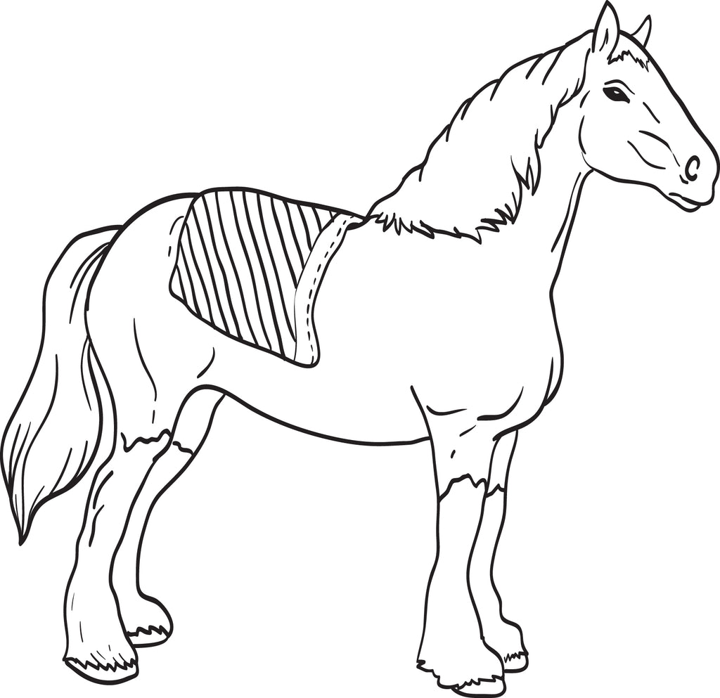 Clydesdale Coloring Page