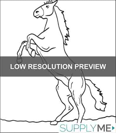 Horse Coloring Page #4