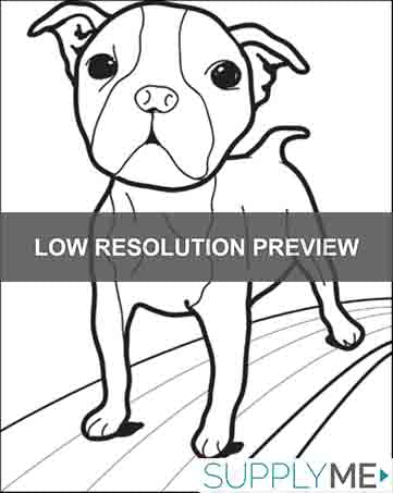 Small Dog Coloring Page