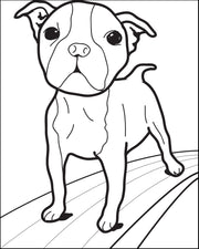 Small Dog Coloring Page