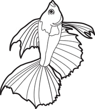 Realistic Fish Coloring Page #2