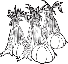 Pumpkins and Corn Stalks Coloring Page
