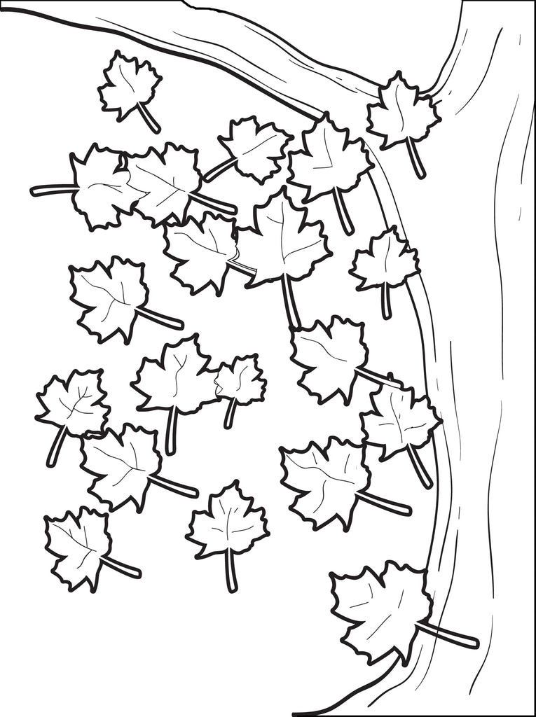 Fall Leaves Coloring Page