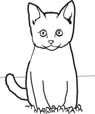 Cat Sitting in Grass Coloring Page