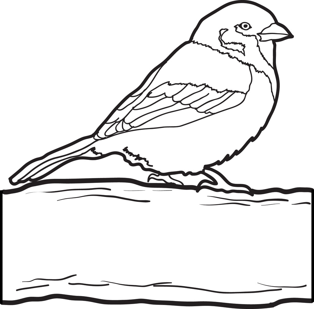 Sparrow Coloring Page