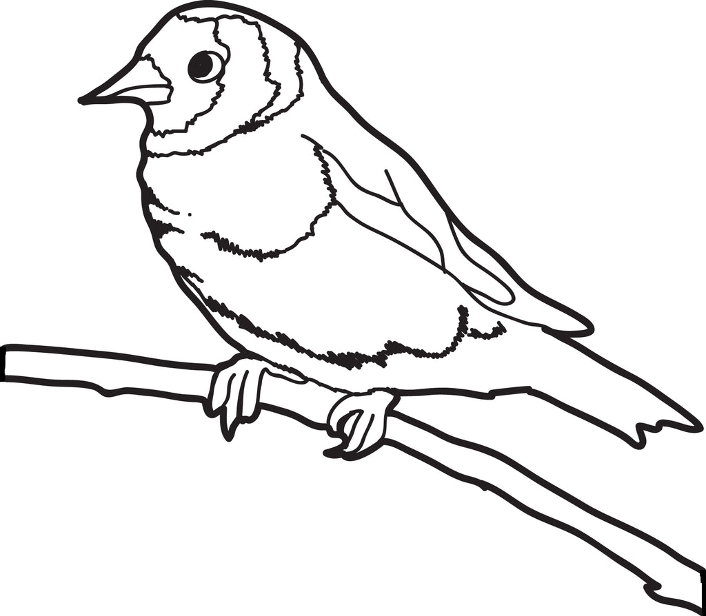 Sparrow Coloring Page #2