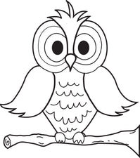 Cartoon Owl Coloring Page