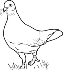 Dove Coloring Page #2