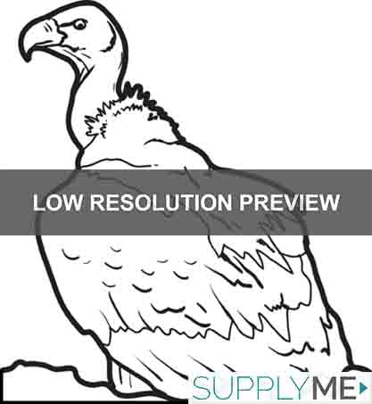 Vulture Coloring Page #2