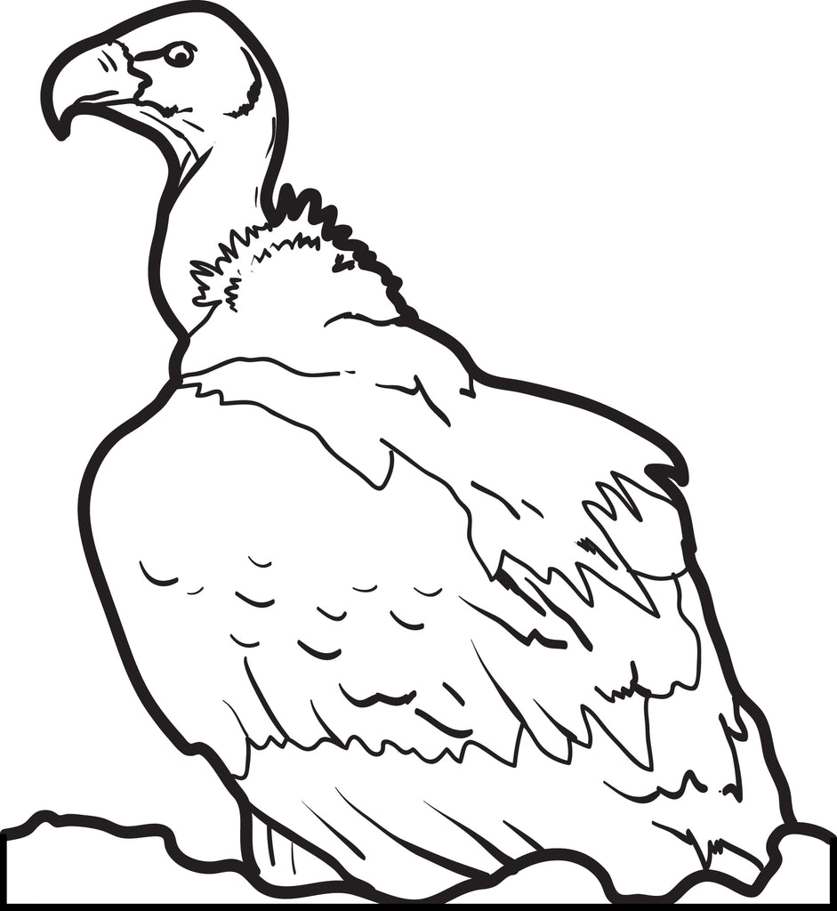 Vulture Coloring Page #2
