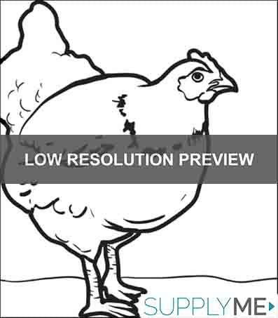 Plump Chicken Coloring Page