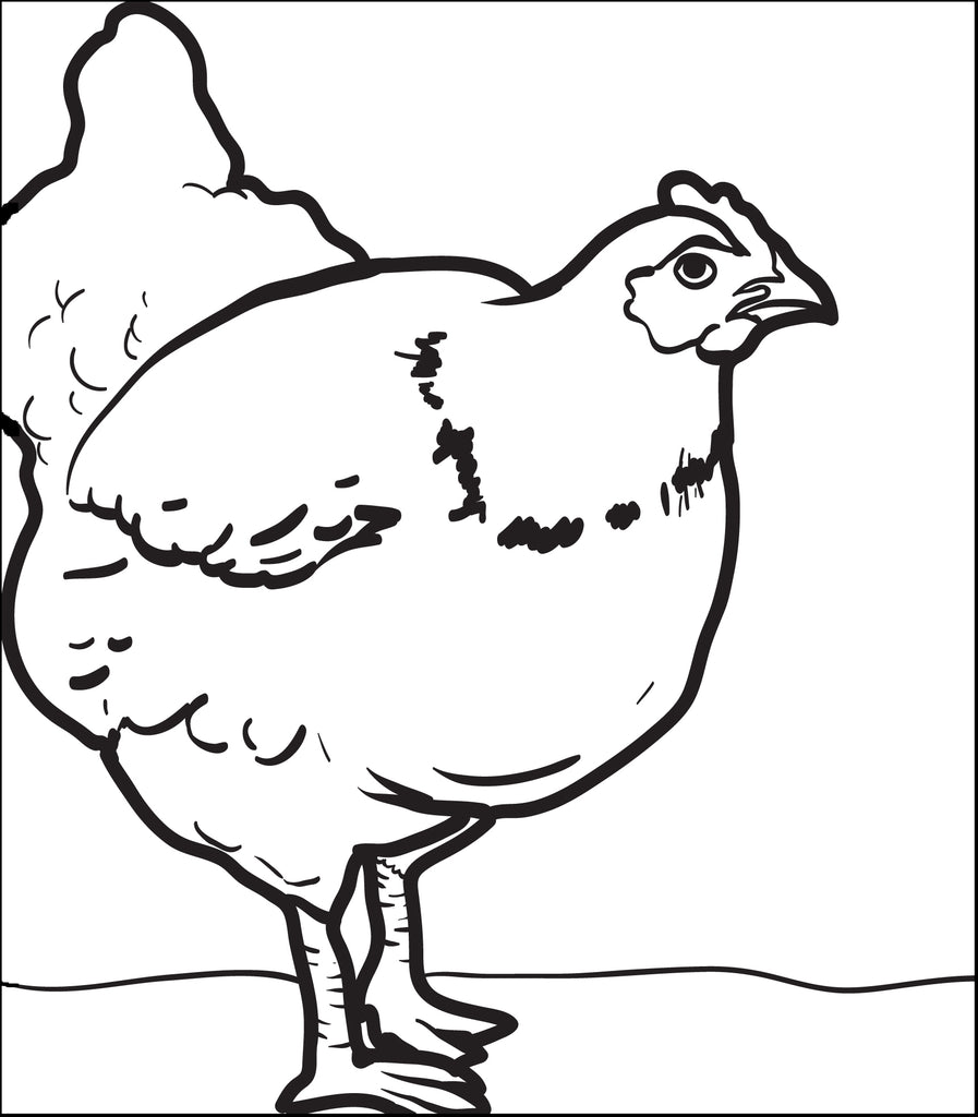 Plump Chicken Coloring Page