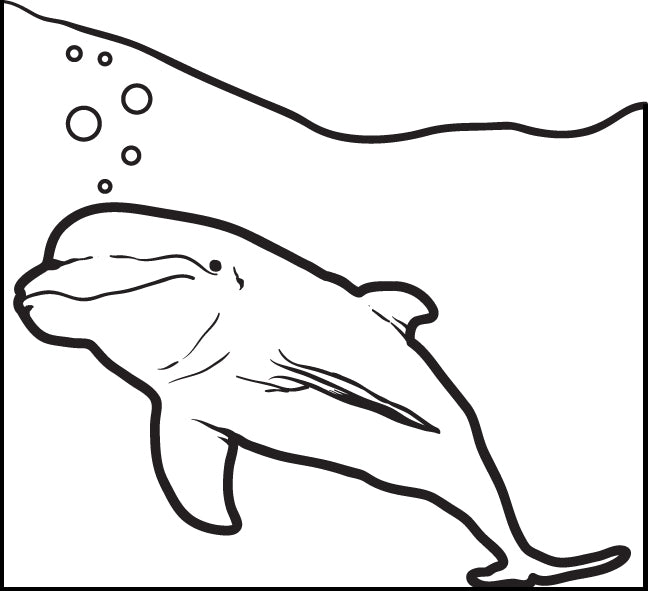 Dolphin Coloring Page #2