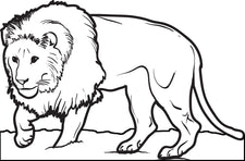 Male Lion Coloring Page