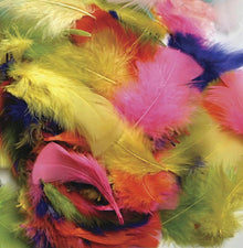 Feathers - Bright Hues - 125 Pieces