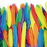 Duck Quill Feathers - Bright Color Assortments