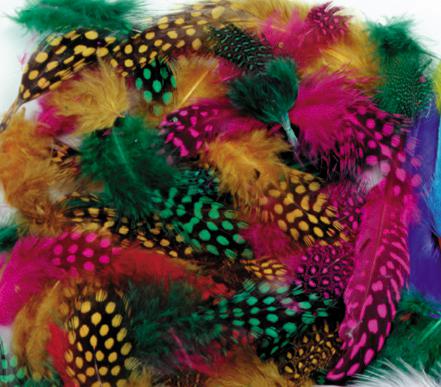 Spotted Feathers - Multi Colored Assortment