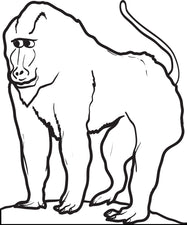 Baboon Coloring Page