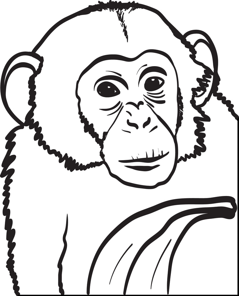 Chimpanzee Coloring Page #1