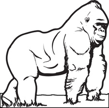 Gorilla Coloring Page