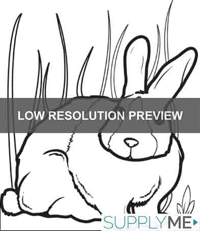 Bunny Rabbit Coloring Page #2