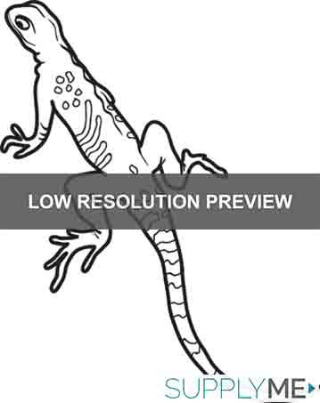 Lizard Coloring Page #1