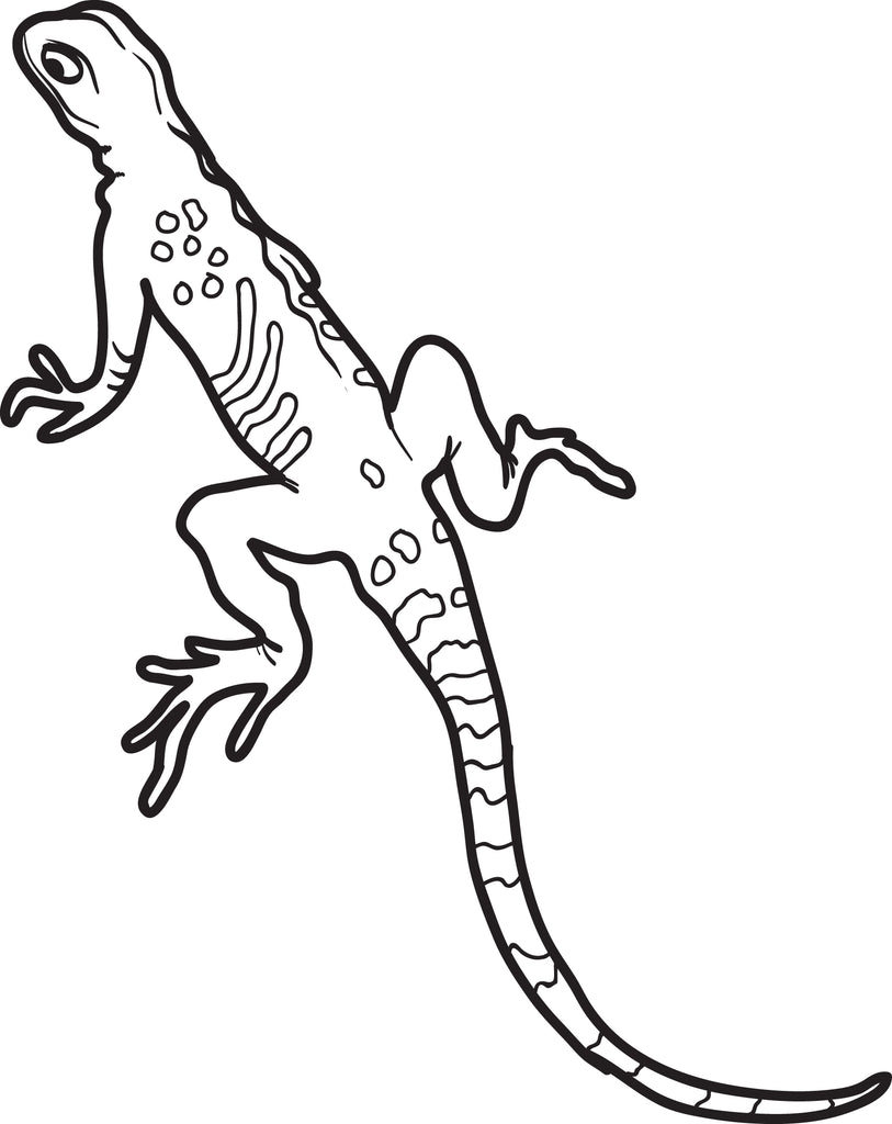 Lizard Coloring Page #1