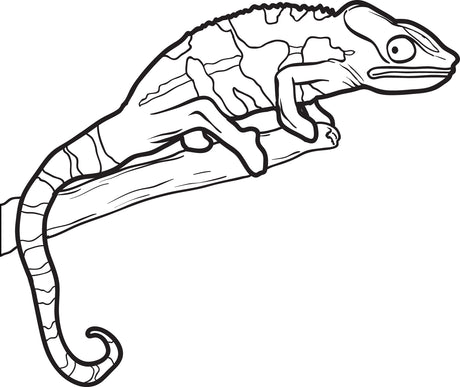 Lizard Coloring Page #2