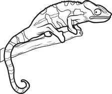 Lizard Coloring Page #2