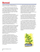 Spectrum Reading Workbook, Grade 6