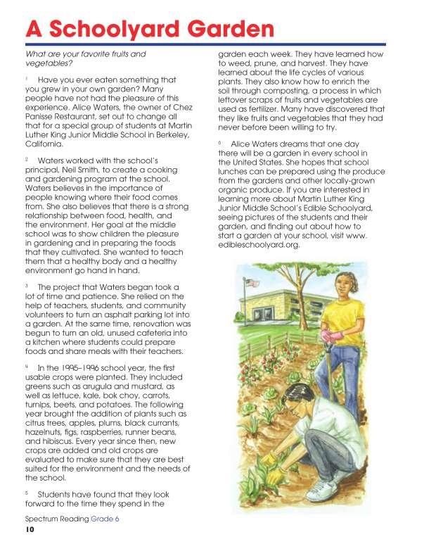 Spectrum Reading Workbook, Grade 6