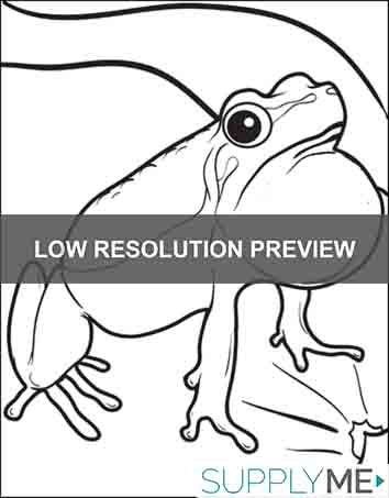 Frog Coloring Page #4