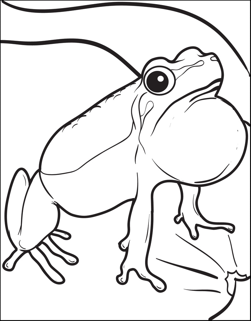 frog coloring pages for toddlers