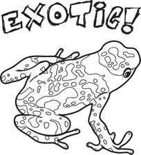Exotic Frog Coloring Page