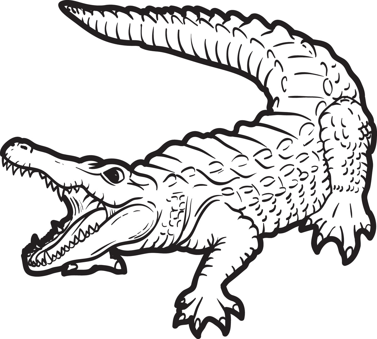 Alligator Coloring Pages Print Paw Print With Crocodile Coloring Pages
