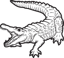 Alligator Coloring Page #2