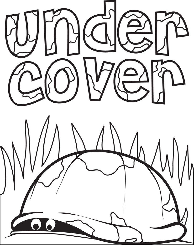 Turtle Hiding In Its' Shell Coloring Page