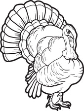 FREE Printable Turkey Coloring Page for Kids