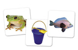 Vowel Owls™ Sorting Set